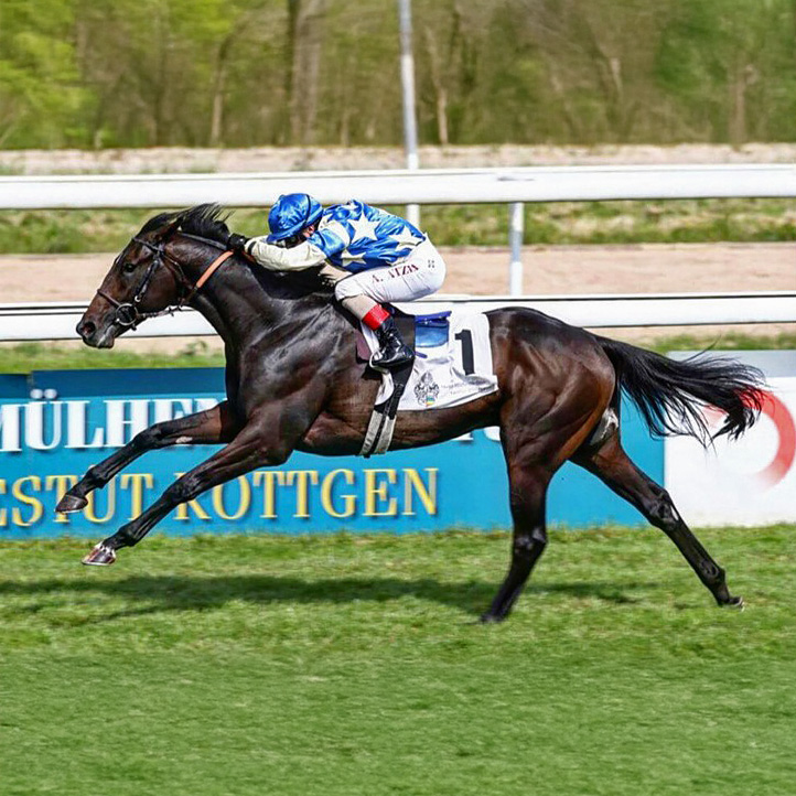 Boodstock Racing - Running Horse Angers